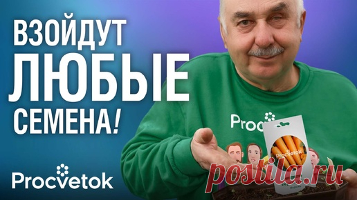В таком копеечном средстве семена взошли быстрее всего! Протестировали 11 народных стимуляторов | Procvetok | Дзен