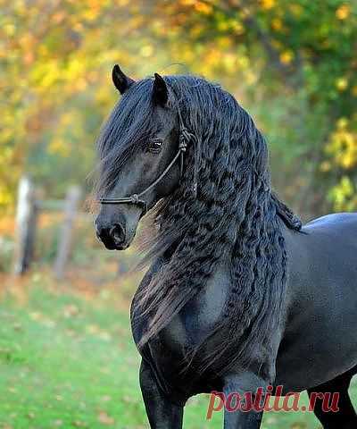 Совершенство