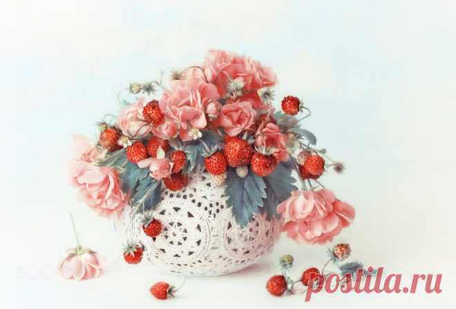 roses & berries