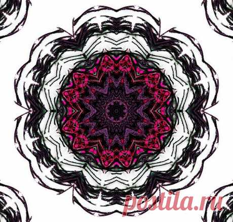 Patterned Mandala  Free Stock Photo HD - Public Domain Pictures