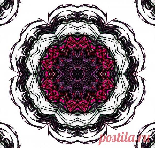 Patterned Mandala  Free Stock Photo HD - Public Domain Pictures