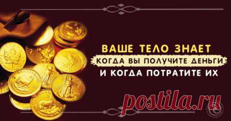 Ваше тело знает, когда Вы получите деньги и когда потратите их - Эзотерика и самопознание