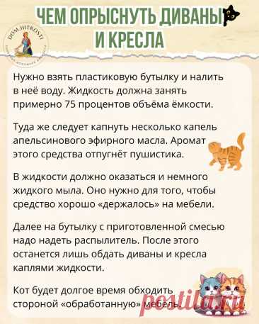 Чем опрыснуть диваны и кресла, чтобы кот обходил их стороной