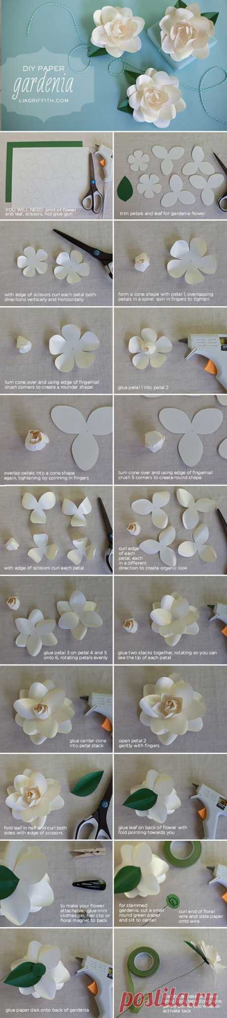 DIY Paper Gardenia