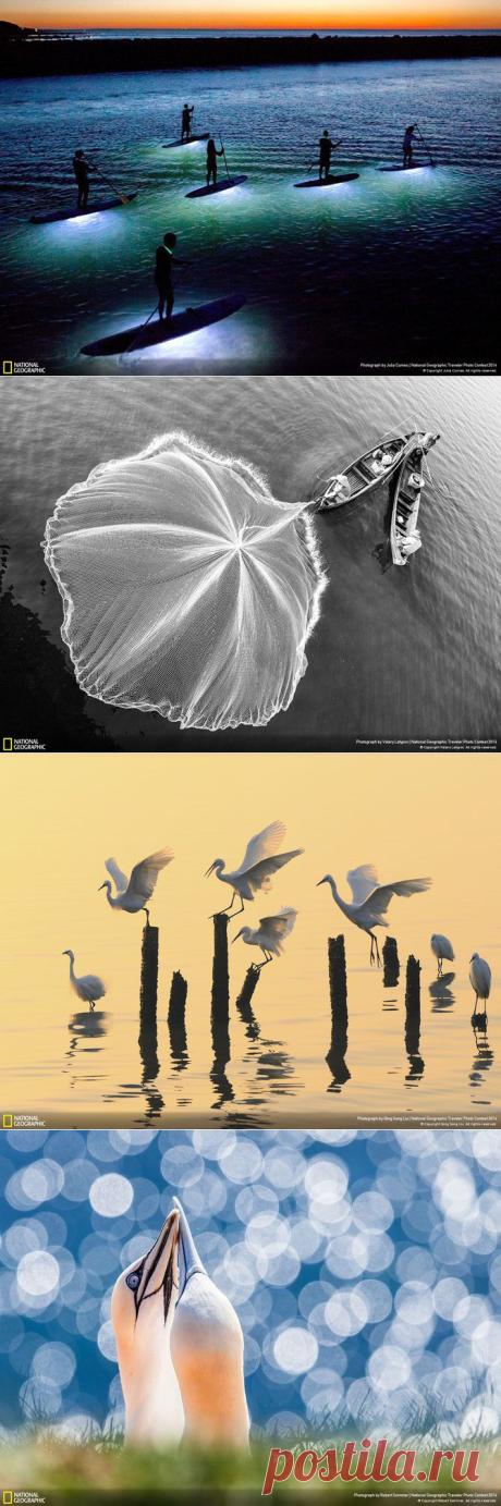 Лучшие фотографии путешествий первой половины 2014 года / Всё самое лучшее из интернета