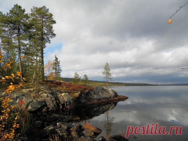 Яндекс.Фотки