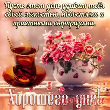Дня хорошего желаю,
Много радости, тепла.
За спиной всегда пусть будут
Счастья белых два крыла. открытка с пожеланием хорошего дня