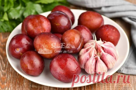 Блюда со сливами. Они вас точно удивят вкусом и простотой приготовления - Будет вкусно - Медиаплатформа МирТесен Покажу совершенно разные блюда со сливами. Они замечательные, так как готовятся быстро, просто, а вкус у них отличный. Будет оригинальная закуска из слив, подаю ее к мясу или с кусочками хлеба. И 2 вида быстрой выпечки: из слоеного теста и из быстрого заливного теста. Все блюда красивые и вкусные. - 14 сентября - 43166878170 - Медиаплатформа МирТесен