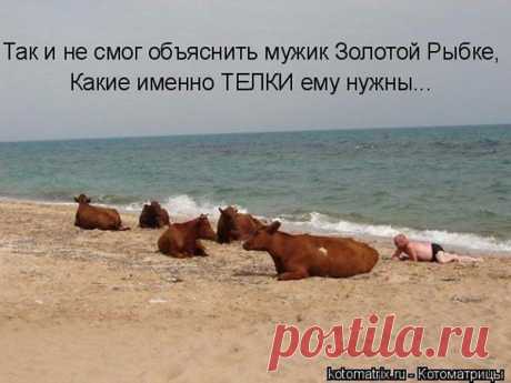 Интересные новости