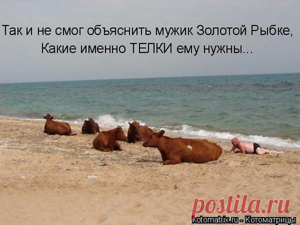 Интересные новости