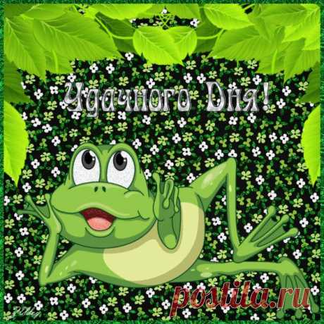 Музыкальная открытка Квака-задавака - Юмор