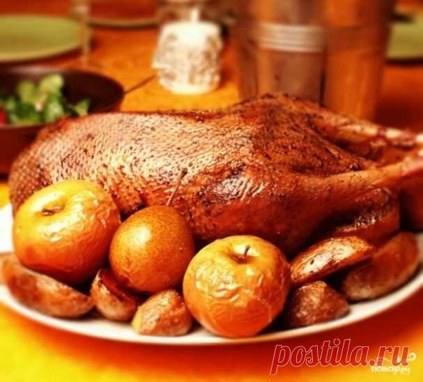 Гусь жареный с яблоками - рецепт с фото на Повар.ру