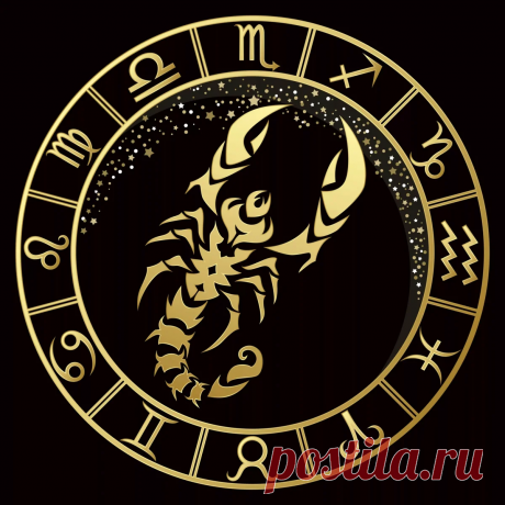 Есть причина, по которой вы родились Скорпионом | Александр Рыбаков | Яндекс Дзен