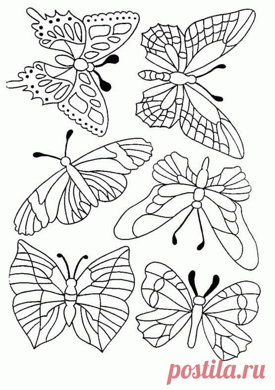 Не СПШки | Butterfly Coloring Page, Coloring Pages