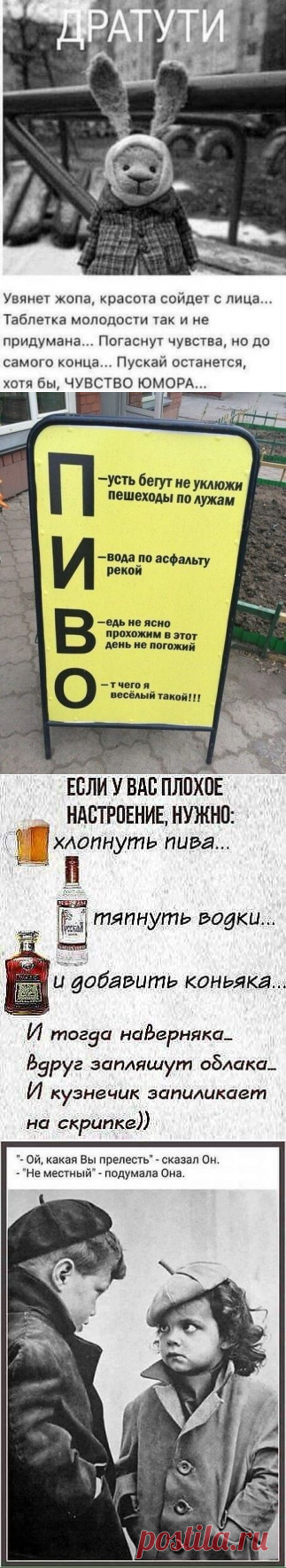 Картинки с юмором: прикольные надписи и фразы | В темпі життя