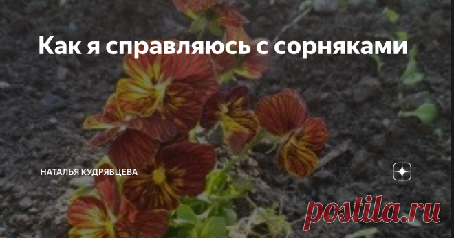 Как я справляюсь с сорняками Сорняки - это бич любого дачного участка и враг номер один всех любителей цветов.
Однако во влажном и жарком климате - а именно в таком я и живу  - справиться с травой просто невозможно. Она за неделю может вымахать в человеческий рост и способ борьбу с ней только один - косить участок хотя бы раз в десять дней.
Но я нашла другой выход!