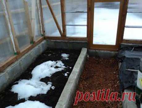 Теплица с деревянным каркасом | обустройство дома