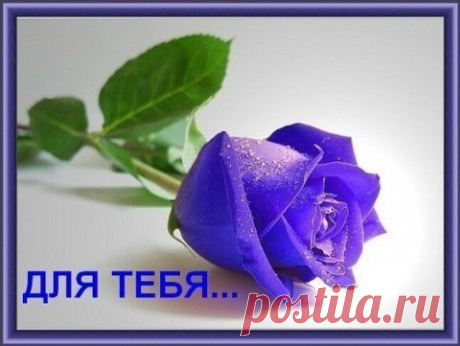 Фотографии сайта «У нас все звезды»