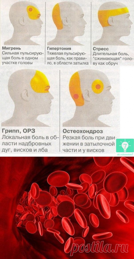 (62) Одноклассники