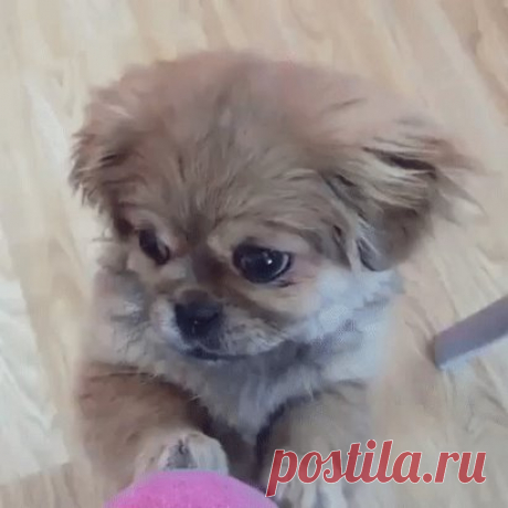 (64) Одноклассники