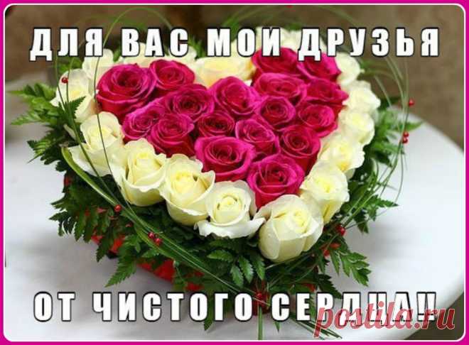 Лучшие, красивые слова благодарности за дружбу подруге, другу, мужчине, парню, друзьям в прозе: текст. Как красиво сказать спасибо за дружбу подруге, другу, парню, мужчине, друзьям своими словами? Открытки и посты – «Благодарю за дружбу»: примеры в прозе