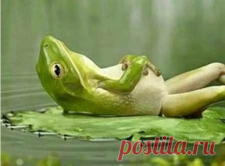 Красота спасёт мир, а пофигизм - нервы!