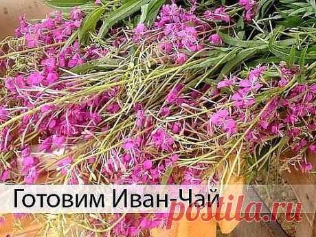 (2) Одноклассники