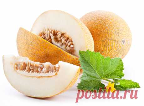 Вкусно и полезно: 10 целебных свойств дыни | You! интернет - журнал