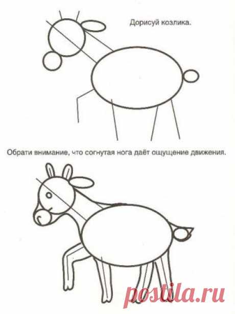 Рисуем животных 2 - Поделки с детьми | Деткиподелки