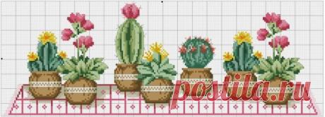 ​Вышиваем кактусы Вышиваем кактусыДля общего развития: кактусы относятся к суккулентам.
Эти растения способны запасать воду в специфических клетках.
