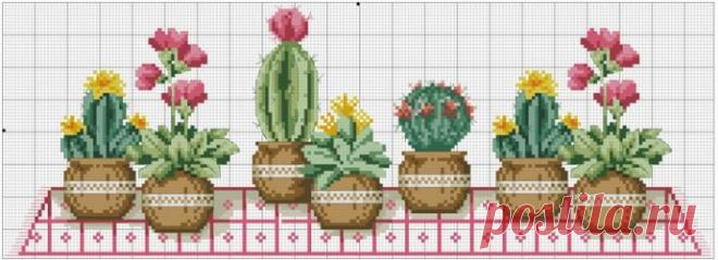 ​Вышиваем кактусы Вышиваем кактусыДля общего развития: кактусы относятся к суккулентам.
Эти растения способны запасать воду в специфических клетках.