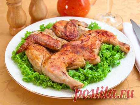 Цыпленок тапака