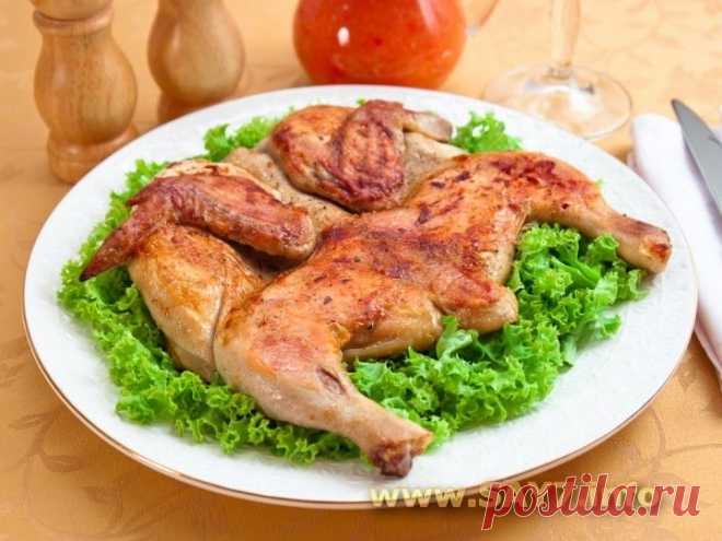 Цыпленок тапака