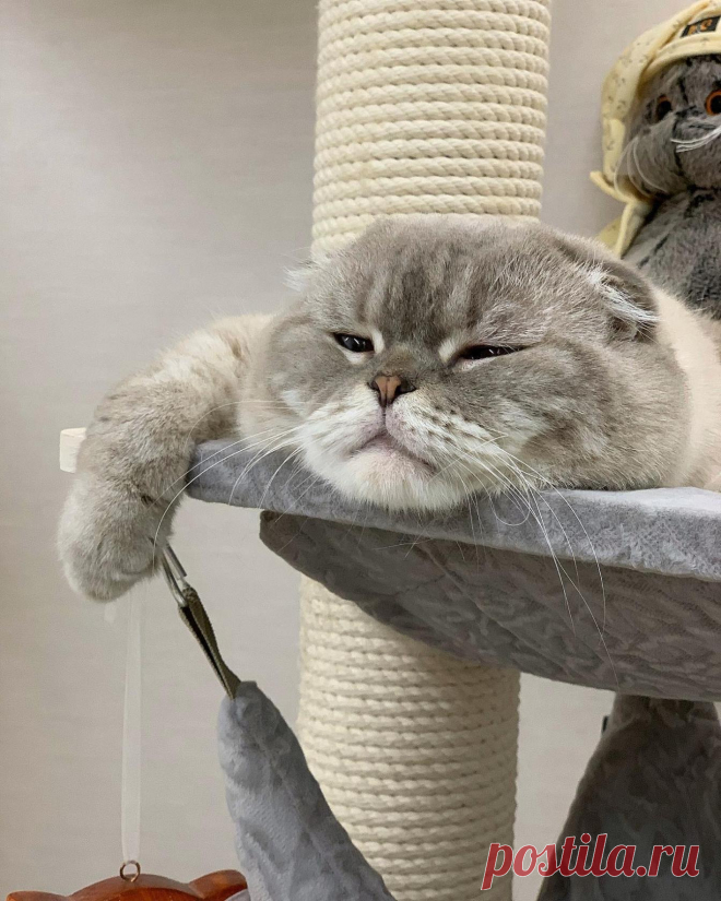 ღ