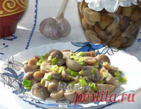 Маринованные шампиньоны за 3 часа | Домашняя кулинария