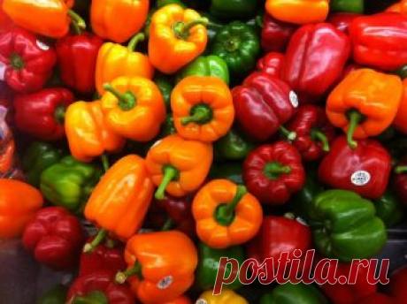 Запасы на зиму: Двенадцать продуктов, которые обязательно нужно заморозить