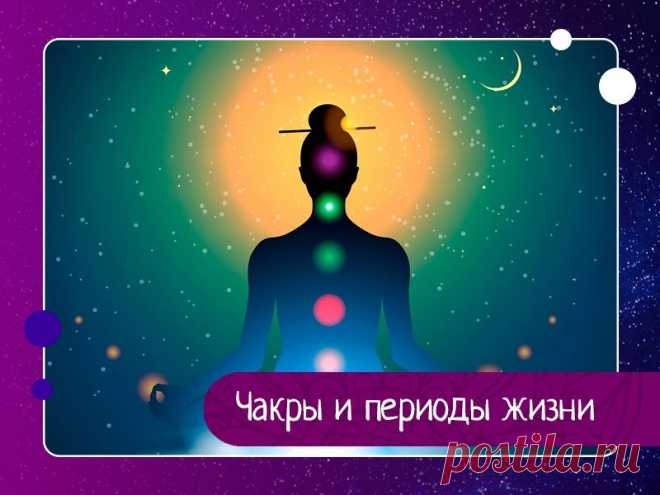 Чакры и периоды жизни Существует ведическая наука о возрастах человека, называемая чакравидья. Весь жизненный цикл человеческого жизни разделен на периоды по 7 лет каждый. Цифра семь считается очень значимой в ведической науке. Не даром мы говорим о семи цветах радуги, семи нотах, семи днях недели, «семь раз...