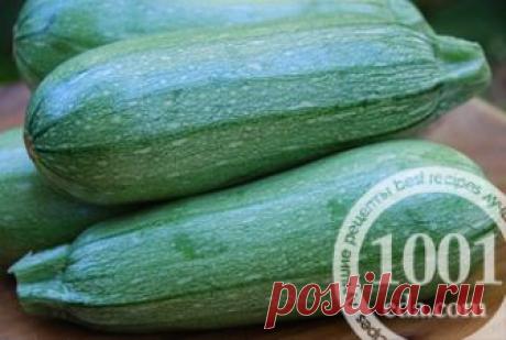 Заготовка кабачков с фасолью на зиму - Кабачки на зиму от 1001 ЕДА