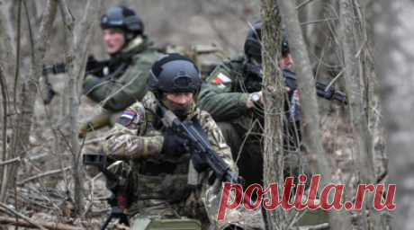 «СТРАНА.ua»: ВСУ встревожены атаками ВС России в Покровске. Российские военные действуют в городской черте Покровска, автомобили украинских войск попали под обстрелы, сообщает «СТРАНА.ua» со ссылкой на бойца ВСУ с позывным Алекс. Читать далее