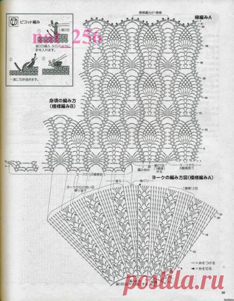 3267643004734217412.jpg (910×1170)