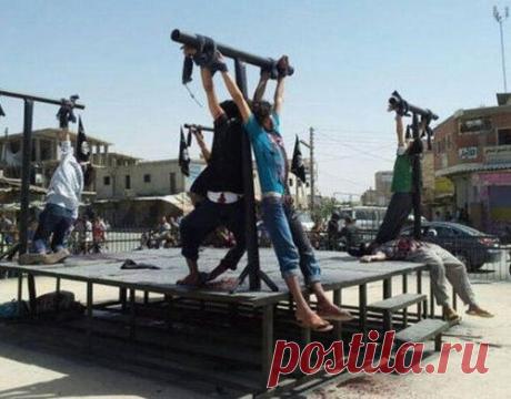 Наказание за зверство! (Видео)