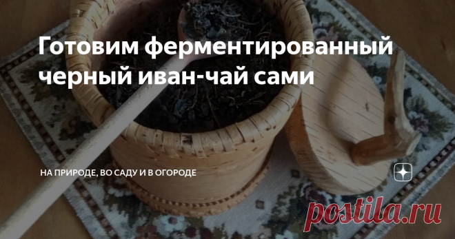 Готовим ферментированный черный иван-чай сами Чай в домашних условиях, для всей семьи и на целый год  приготовить вполне реально, даже если вы не  житель южных регионов и не растет в вашей местности  чайный куст.
Много разного  чая я делаю, но самый любимый - Иван-чай, иначе его называют - копорский чай.
Копорский чай готовят во время цветения  растения  Иван-чай, но  вовсе не из цветочков, а из листьев .  Лист собираем скользящим движением п