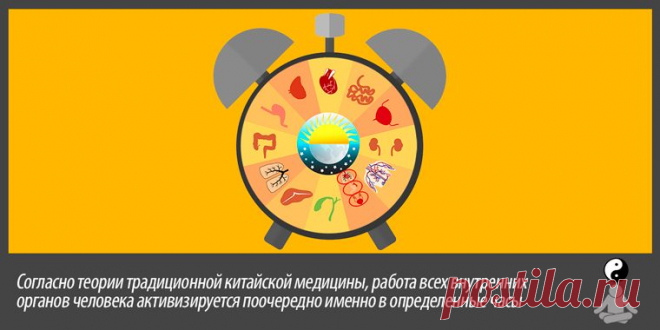 Как Поддерживать Здоровье В Соответствии С Временными Отрезками «Шичэнь» |