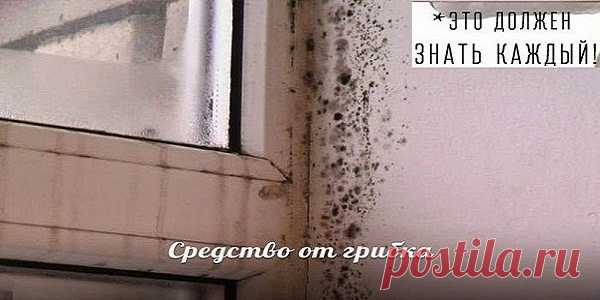 Это должен знать каждый! Средство от грибка.
