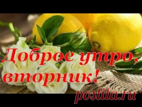 Доброе утро! Пусть утро Вторника начнется с хорошего настроения! - YouTube