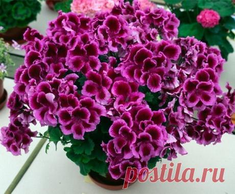 Жанна Тимофеева - Челябинск, Челябинская обл., Россия на Мой Мир@Mail.ru