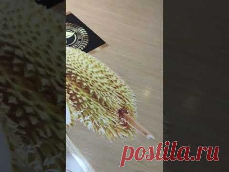 3D Sticker Sample Video - YouTube