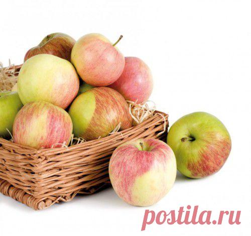 Яблочные компоты – рецепты заготовок / Простые рецепты