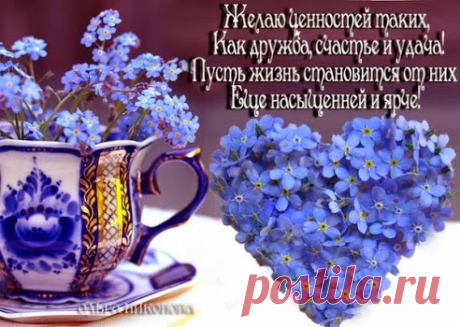 Топ дня - лучшие открытки отправленные за последние 24 часа