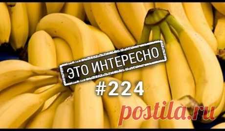 (10) Одноклассники